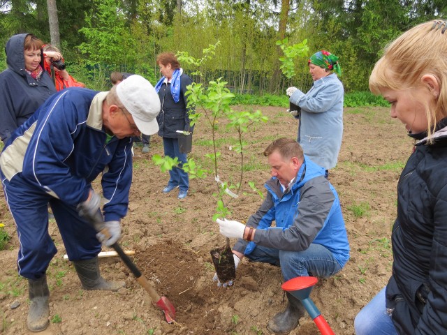 «Добрый сад» под таким названием прошла акция в социально-реабилитационном отделении дневного пребывания  Комплексного центра социального обслуживания населения Никольского района